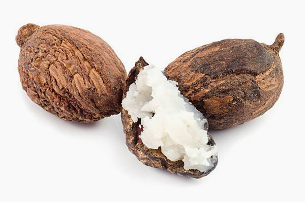 Lisitra . peptide skincare . Shea Butter 